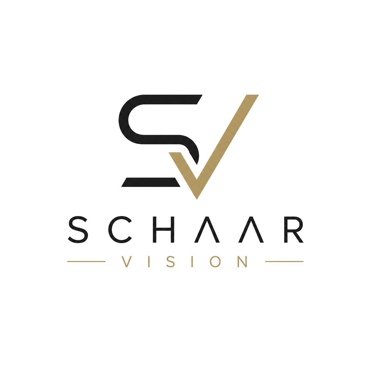 SCHAAR Vision
